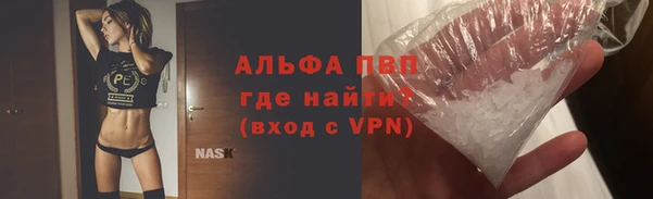 гашик Нея