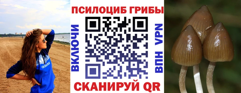 darknet состав  Олёкминск  Галлюциногенные грибы Magic Shrooms 