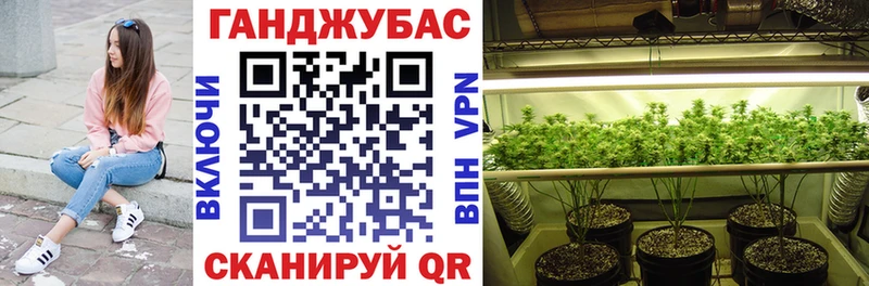 сколько стоит  Олёкминск  Конопля план 